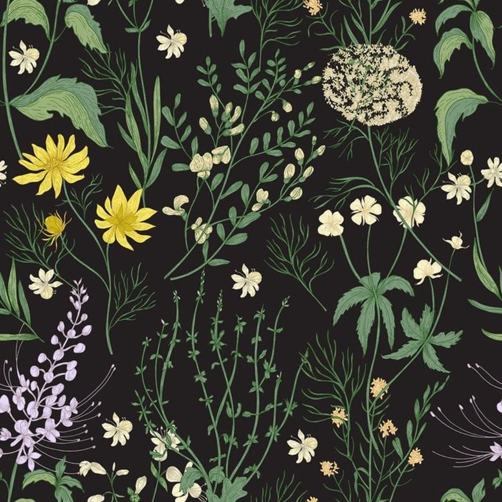 Meet your Posher, Ellen